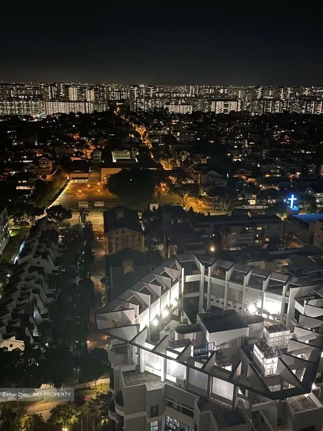 The Bayshore (D16), Condominium #580624291